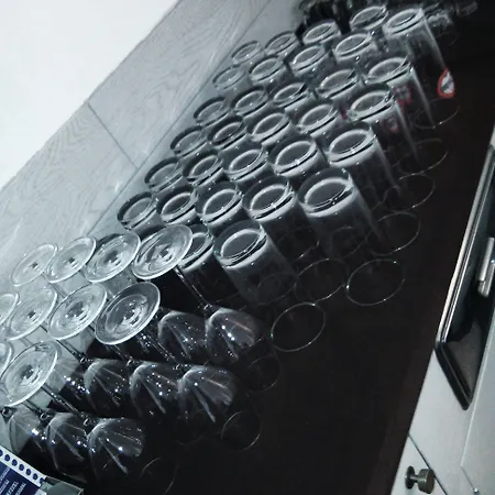 酒店 Milano 马里纳-迪-皮特拉桑塔