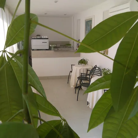 Milano 马里纳-迪-皮特拉桑塔